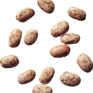 Kidney beans PNG