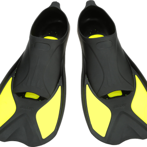 Flippers PNG