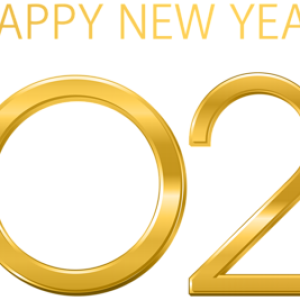 2022 year PNG