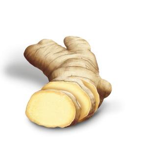 Ginger PNG
