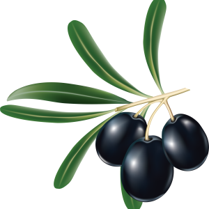 Black olives PNG