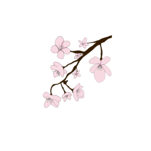 Sakura PNG