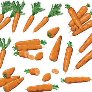 Carrots PNG image