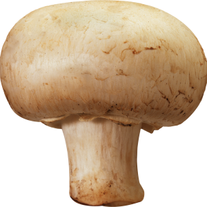 Mushroom PNG image