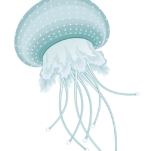 Jellyfish PNG
