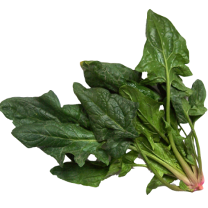Spinach PNG