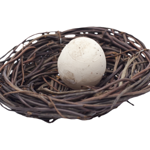 Nest PNG