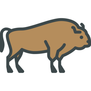 Bison PNG