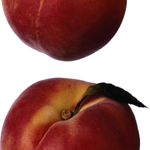 Peach PNG image