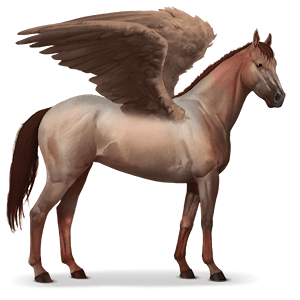 Pegasus PNG