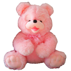 Teddy bear PNG