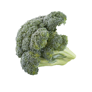 Broccoli PNG
