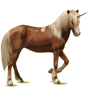 Unicorn PNG