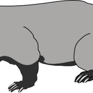 Badger PNG