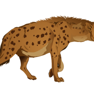 Hyena PNG