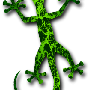 Gecko PNG