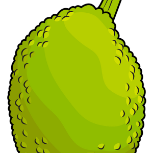 Jackfruit PNG transparent