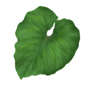 Green leaf PNG