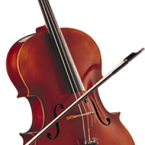 Violin PNG