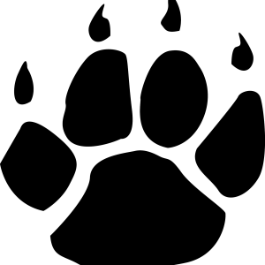 Paw PNG