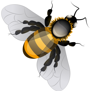 Bee PNG