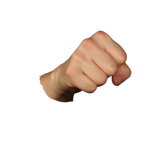Fist PNG