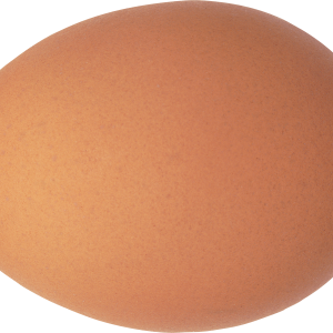 Eggs PNG