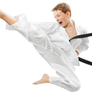 Karate PNG