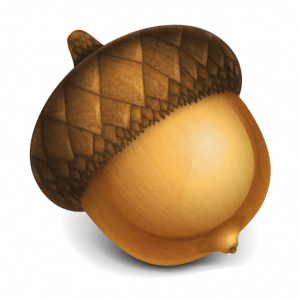 Acorn PNG image, free, acorns