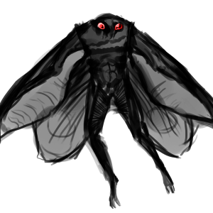 Moth PNG