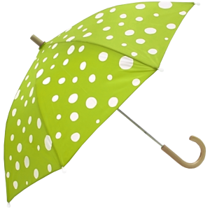 Umbrella PNG image