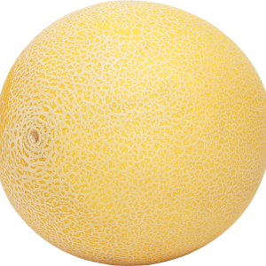 Melon PNG