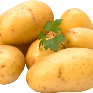 Several potatoes PNG