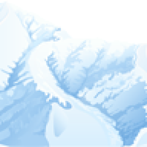 Winter PNG