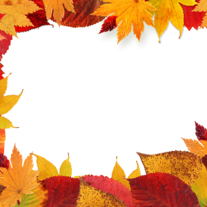 autumn leaves frame PNG leaf