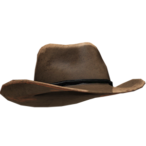 Cowboy hat PNG