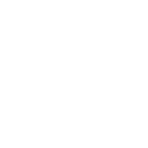 White snowflake PNG image
