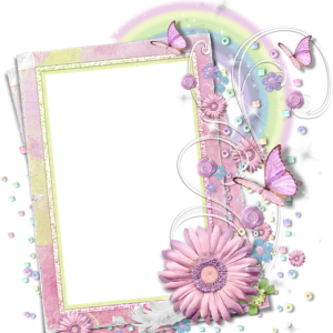 Floral frame PNG