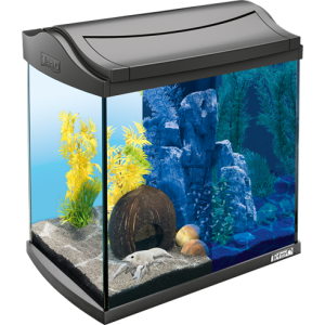 Aquarium PNG