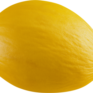 Melon PNG