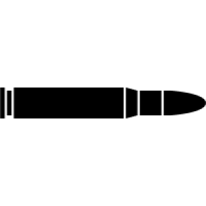 Bullets PNG image