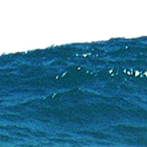 Sea PNG