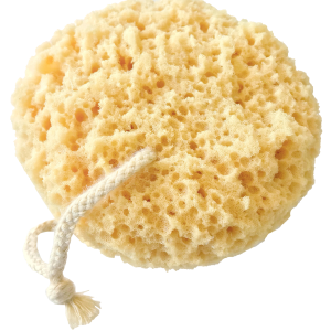 Sponge bath PNG