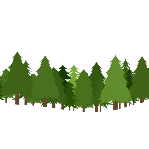 Forest PNG