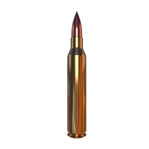 Bullets PNG image