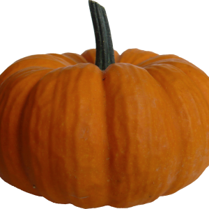 Pumpkin PNG