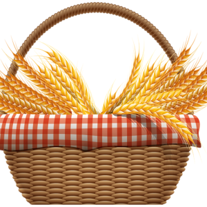 Wheat PNG