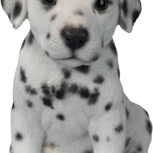 Dalmatian PNG