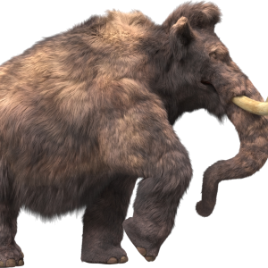 Mammoth PNG