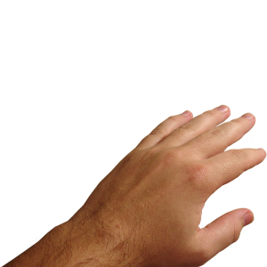 Hands PNG, hand image free